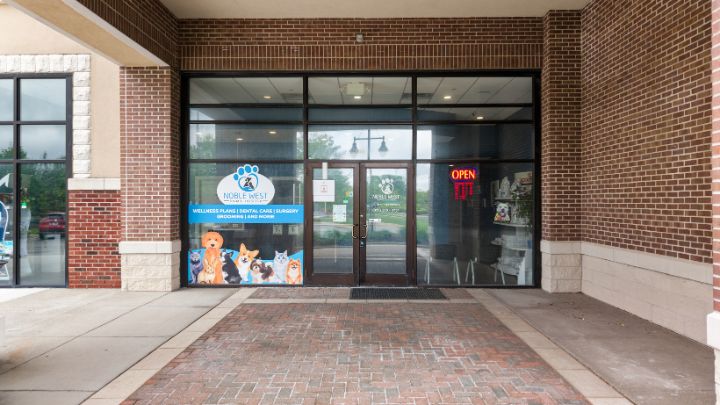Entrance of a pet store featuring a sign on the door