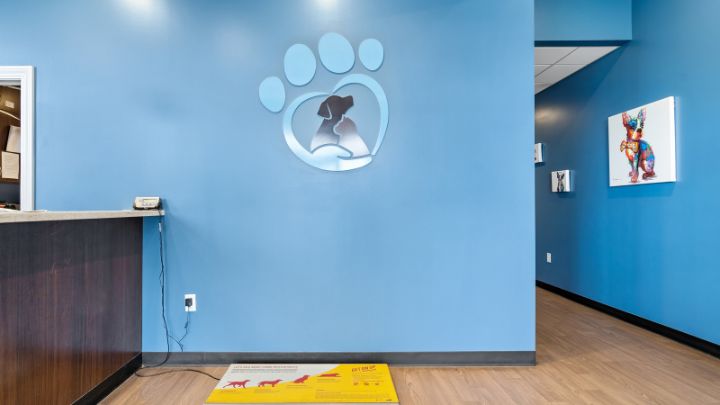 A blue wall featuring a single dog paw print