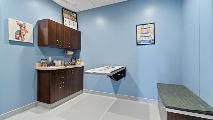 A small room featuring blue walls and cabinets