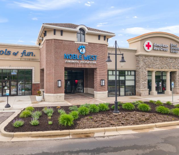 Noble West Animal Hospital front view