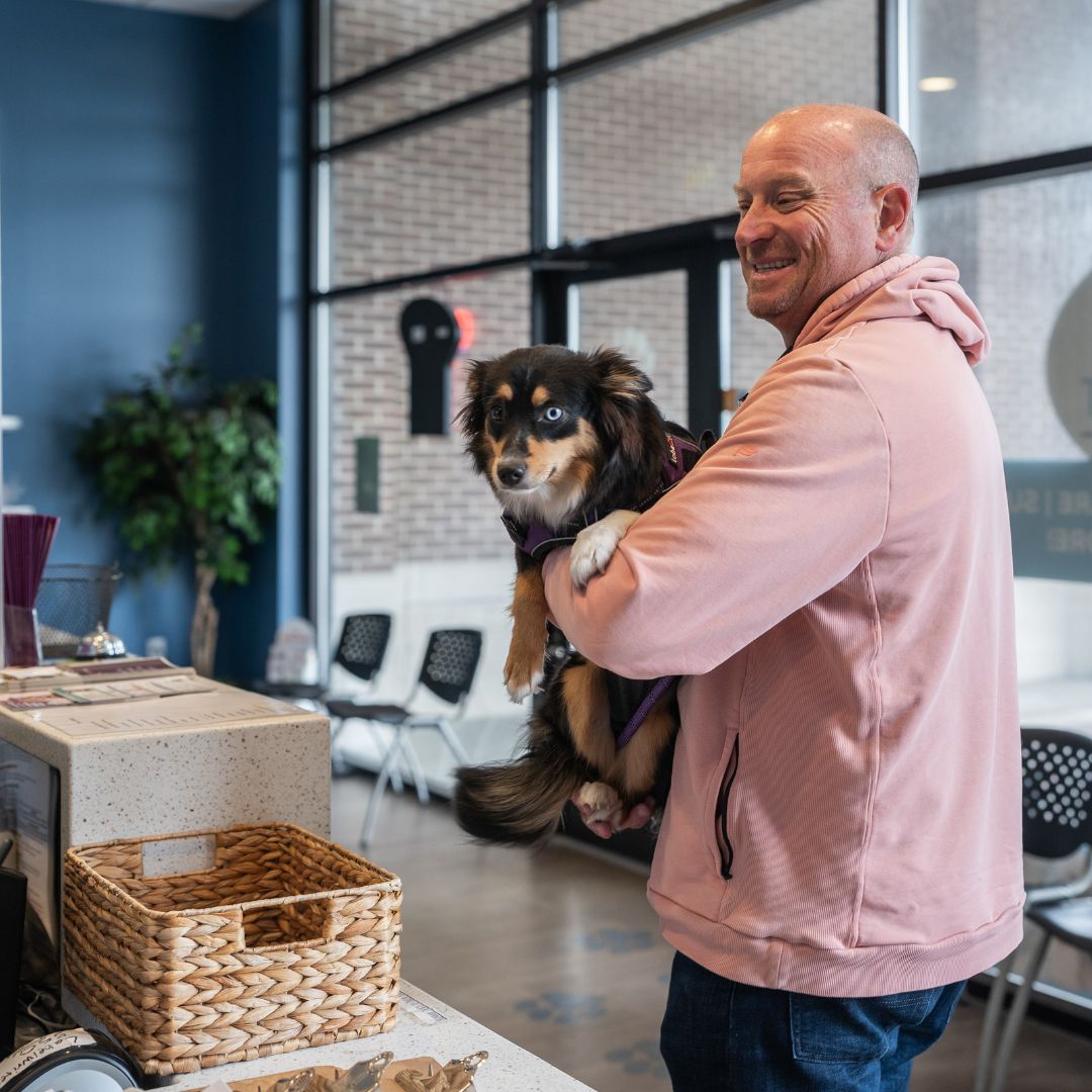 A man holding a dog stands at a desk in a lobby